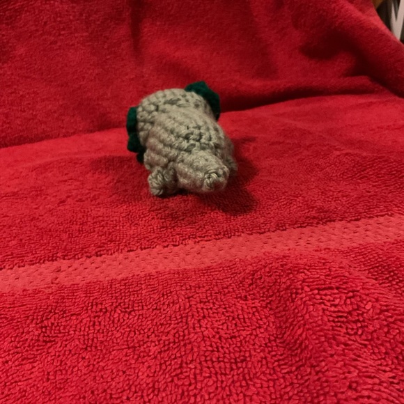 Little axolotl - Picture 8 of 8